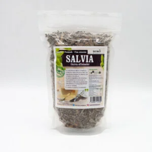 Salvia