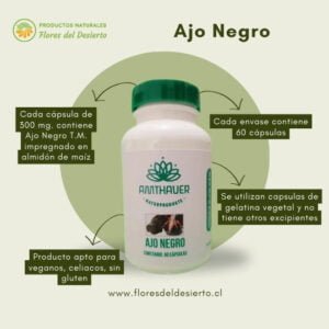 Ajo Negro