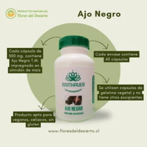 Ajo Negro