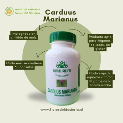Carduus Marianus